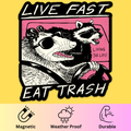 Live Fast, Eat Trash' Bumper Magnet