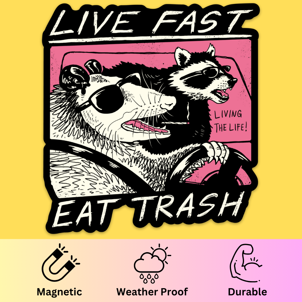 Live Fast, Eat Trash' Bumper Magnet