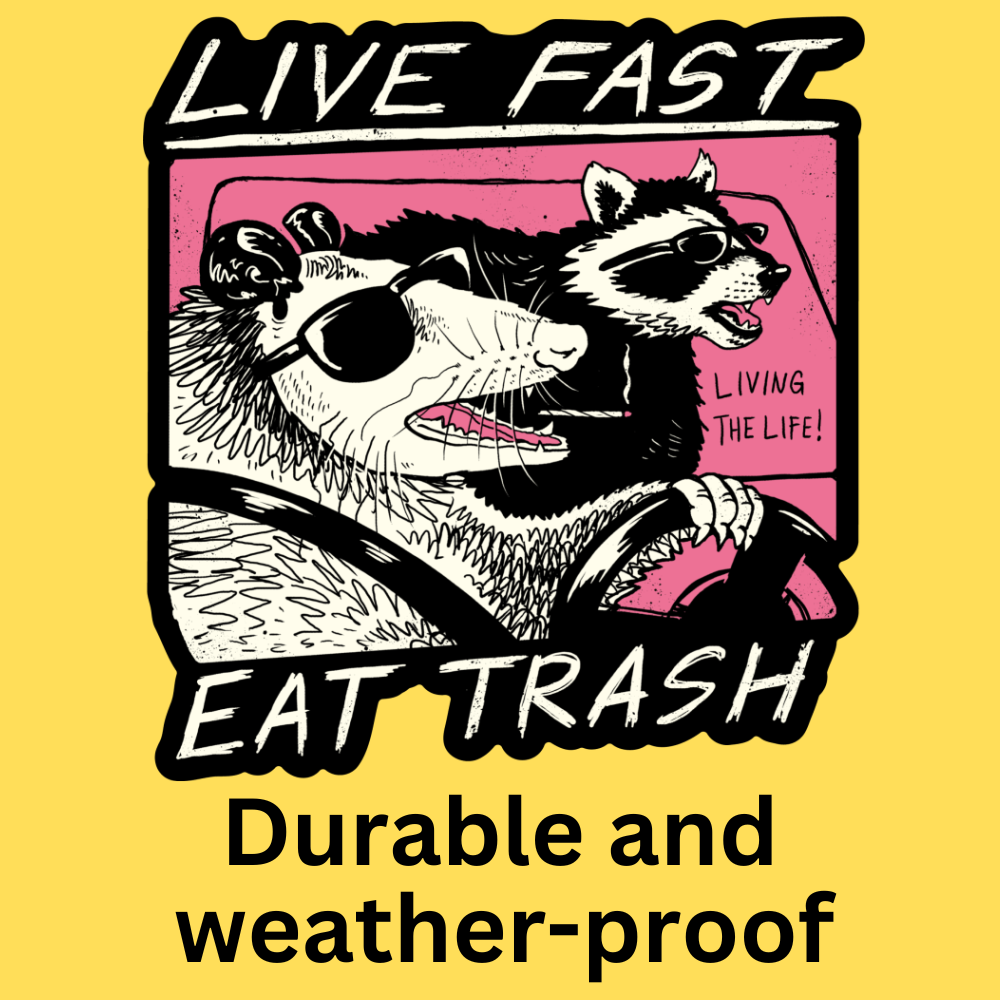 Live Fast, Eat Trash' Bumper Sticker