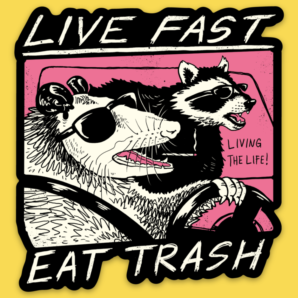 Live Fast Eat Trash' Sticker